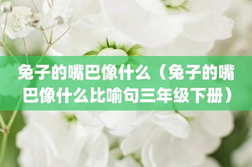 兔子的嘴巴像什么（兔子的嘴巴像什么比喻句三年级下册）