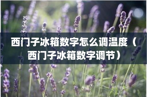 西门子冰箱数字怎么调温度（西门子冰箱数字调节）