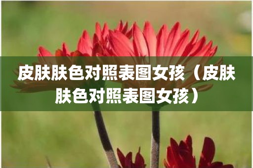 皮肤肤色对照表图女孩（皮肤肤色对照表图女孩）