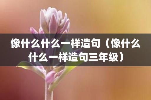 像什么什么一样造句（像什么什么一样造句三年级）