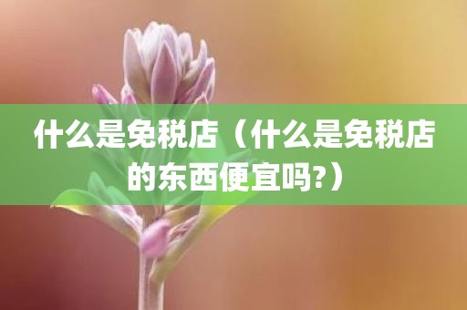 什么是免税店（什么是免税店的东西便宜吗?）