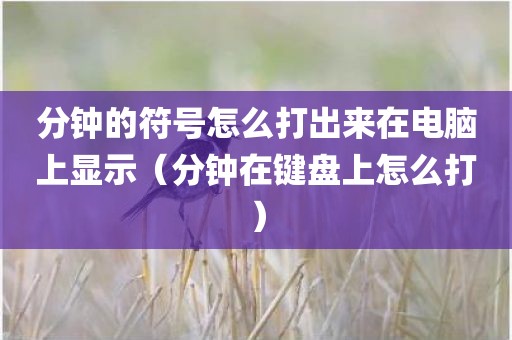 分钟的符号怎么打出来在电脑上显示（分钟在键盘上怎么打）