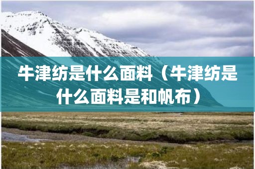 牛津纺是什么面料（牛津纺是什么面料是和帆布）