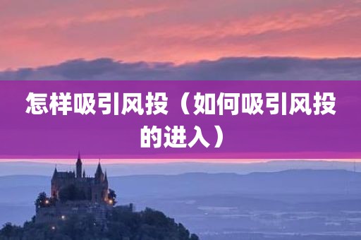 怎样吸引风投（如何吸引风投的进入）