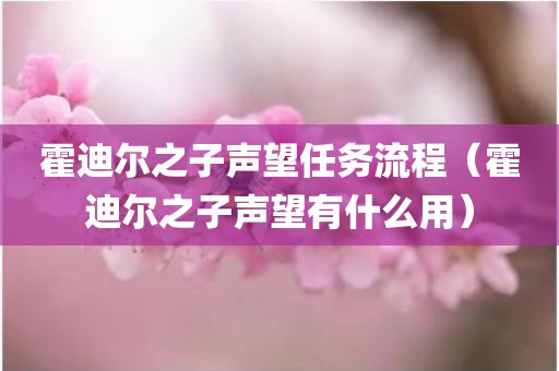 霍迪尔之子声望任务流程（霍迪尔之子声望有什么用）