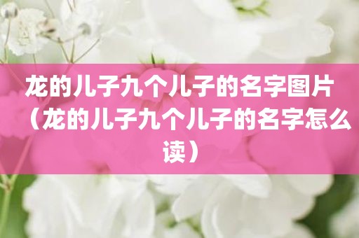 龙的儿子九个儿子的名字图片（龙的儿子九个儿子的名字怎么读）