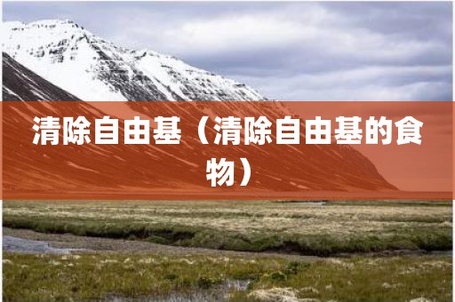 清除自由基（清除自由基的食物）