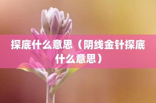 探底什么意思(阴线金针探底什么意思)