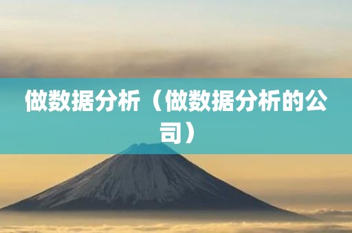 做数据分析（做数据分析的公司）