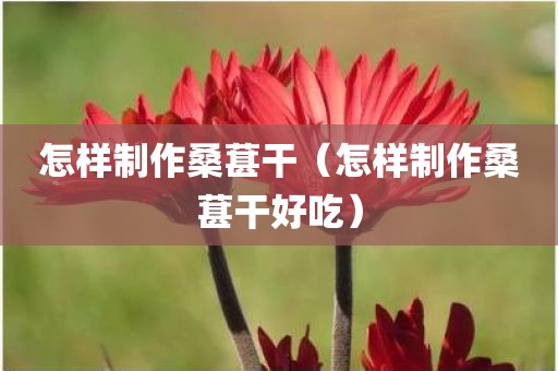 怎样制作桑葚干（怎样制作桑葚干好吃）