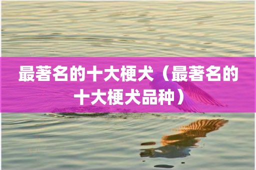 最著名的十大梗犬（最著名的十大梗犬品种）