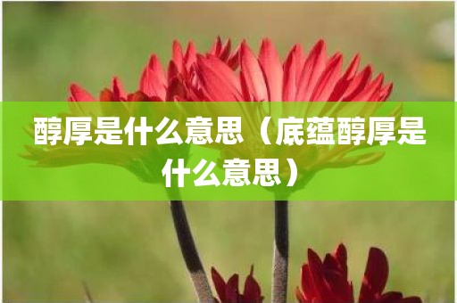 醇厚是什么意思（底蕴醇厚是什么意思）