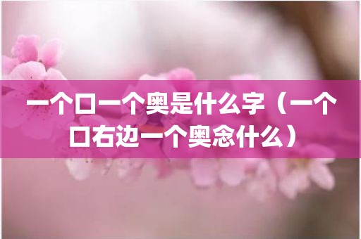 一个口一个奥是什么字（一个口右边一个奥念什么）