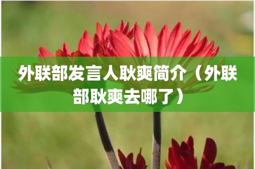 外联部发言人耿爽简介（外联部耿爽去哪了）