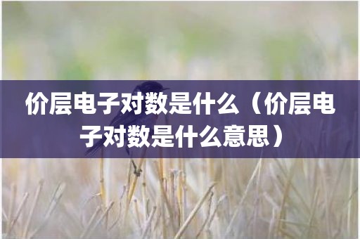 价层电子对数是什么（价层电子对数是什么意思）