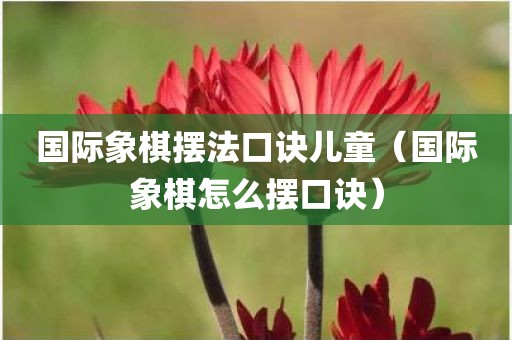 国际象棋摆法口诀儿童（国际象棋怎么摆口诀）