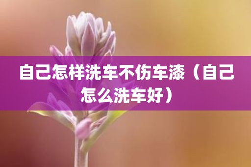 自己怎样洗车不伤车漆（自己怎么洗车好）