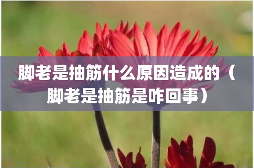 脚老是抽筋什么原因造成的（脚老是抽筋是咋回事）