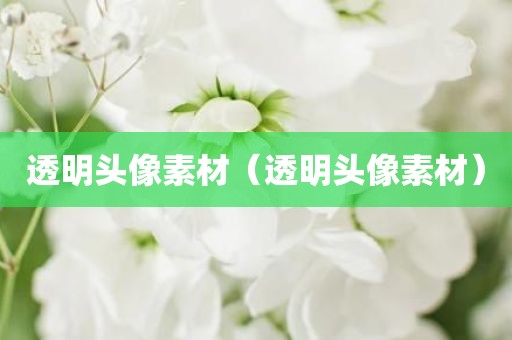 透明头像素材（透明头像素材）