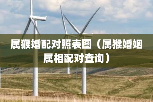 属猴婚配对照表图（属猴婚姻属相配对查询）
