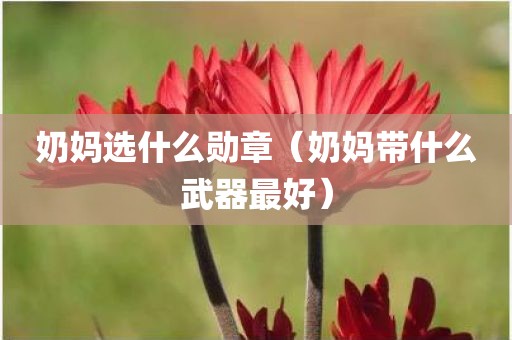 奶妈选什么勋章（奶妈带什么武器最好）