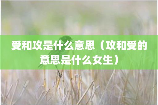 受和攻是什么意思（攻和受的意思是什么女生）