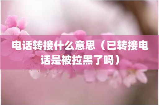 电话转接什么意思（已转接电话是被拉黑了吗）
