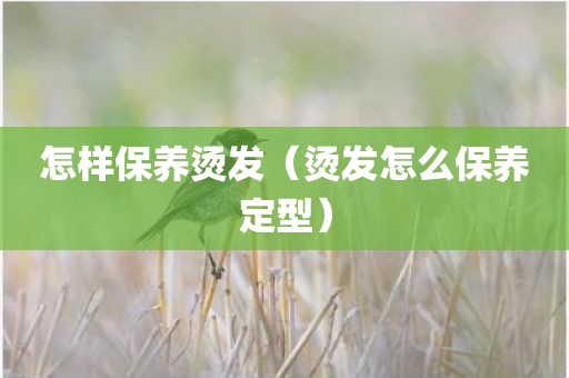 怎样保养烫发（烫发怎么保养定型）