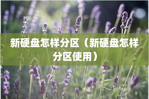 新硬盘怎样分区（新硬盘怎样分区使用）
