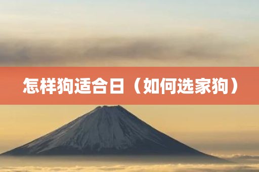 怎样狗适合日（如何选家狗）