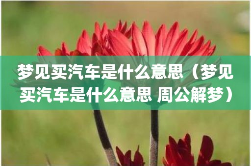 梦见买汽车是什么意思（梦见买汽车是什么意思 周公解梦）