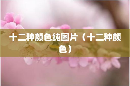 十二种颜色纯图片（十二种颜色）