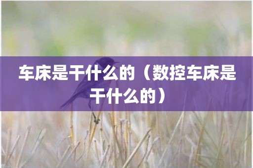 车床是干什么的（数控车床是干什么的）