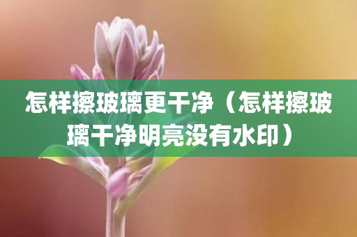 怎样擦玻璃更干净（怎样擦玻璃干净明亮没有水印）