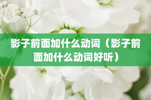 影子前面加什么动词（影子前面加什么动词好听）