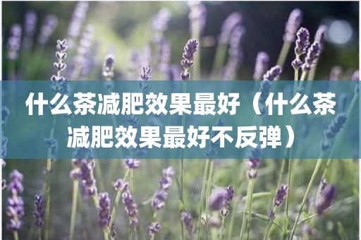 什么茶减肥效果最好（什么茶减肥效果最好不反弹）