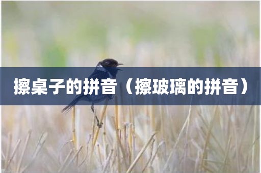 擦桌子的拼音（擦玻璃的拼音）