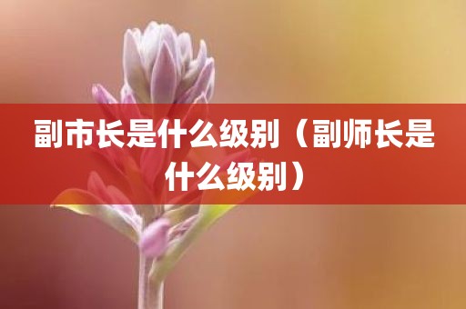 副市长是什么级别（副师长是什么级别）