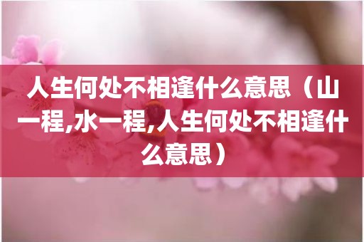 人生何处不相逢什么意思（山一程,水一程,人生何处不相逢什么意思）