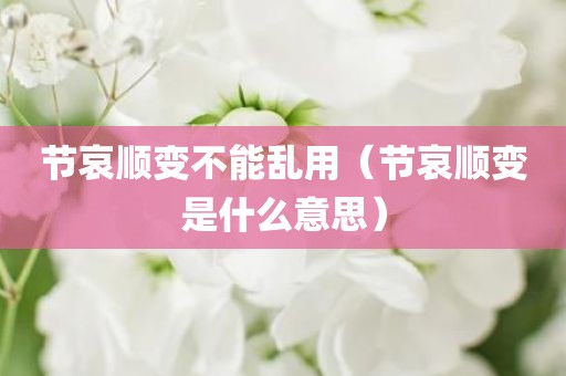 节哀顺变不能乱用（节哀顺变是什么意思）