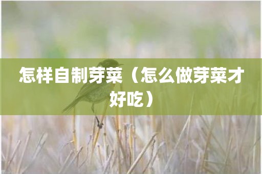 怎样自制芽菜（怎么做芽菜才好吃）