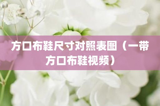 方口布鞋尺寸对照表图（一带方口布鞋视频）