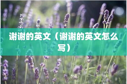 谢谢的英文(谢谢的英文怎么写)