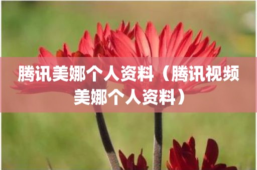 腾讯美娜个人资料（腾讯视频美娜个人资料）