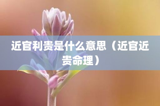 近官利贵是什么意思（近官近贵命理）