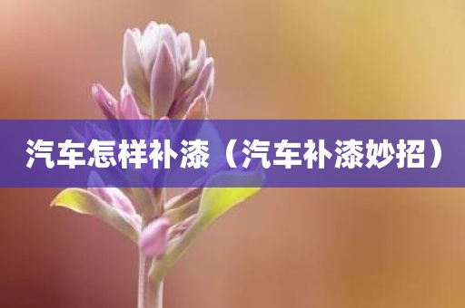 汽车怎样补漆（汽车补漆妙招）