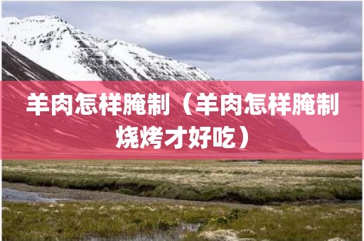 羊肉怎样腌制（羊肉怎样腌制烧烤才好吃）