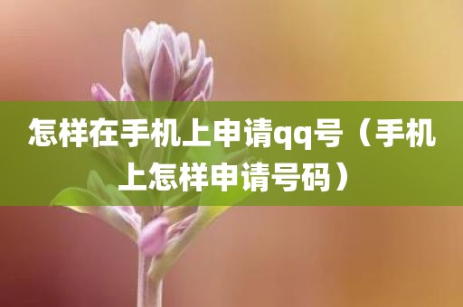 怎样在手机上申请qq号（手机上怎样申请号码）