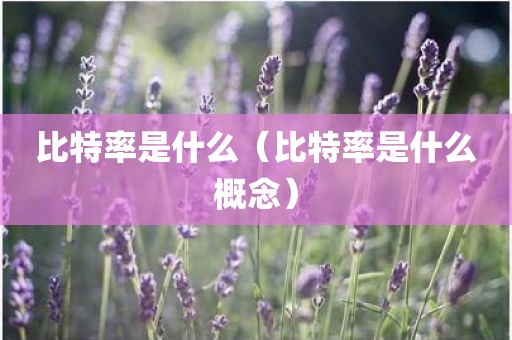 比特率是什么（比特率是什么概念）