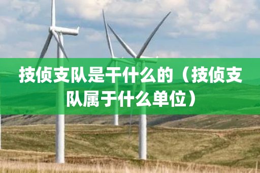 技侦支队是干什么的（技侦支队属于什么单位）